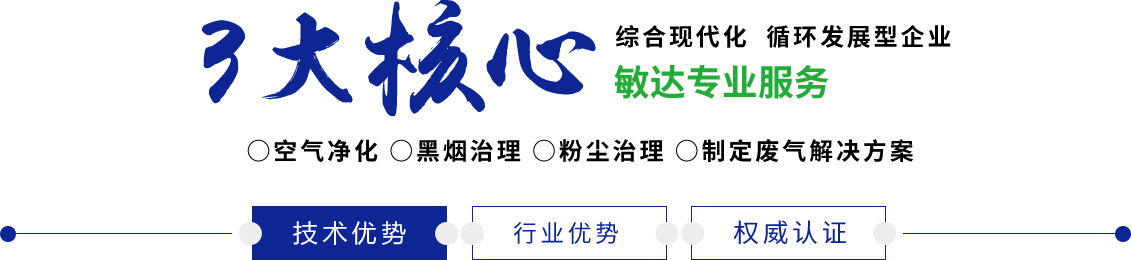 啊啊啊好大慢点插进来日韩男女性视频在线敏达环保科技（嘉兴）有限公司